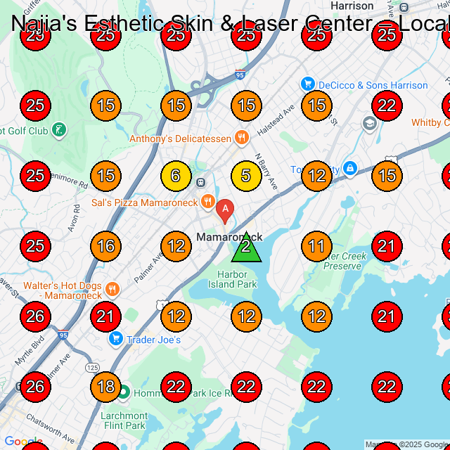 Najia's Esthetic Skin & Laser Center GeoGrid visibility map for Medical Spa in Port Chester
